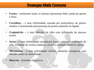 • Coriza – corrimento nasal, os animais apresentam febre, perda de apetite
e tosse.
• Coccidiose – é uma enfermidade causada por protozoários do gênero
eiméria. Caracterizada pela presença de pontos amarelos no fígado.
• Conjuntivite – é uma infecção do olho com inflamação da mucosa
ocular.
• Sarna – é uma enfermidade causada por ácaros, sintomas: escamação da
pele, formação de crostas cutâneas, coceira e inchação lateral da cabeça.
• Mixomatose – é uma enfermidade virótica, altamente contagiosa, com
elevado índice de mortalidade.
• Diarreia – distúrbios digestivos.
 