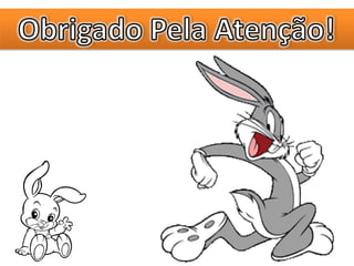 Zootecnia Geral - Coelhos