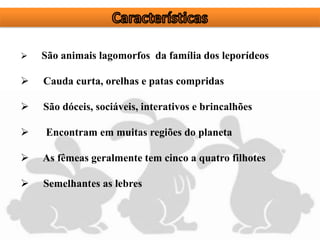  São animais lagomorfos da família dos leporídeos
 Cauda curta, orelhas e patas compridas
 São dóceis, sociáveis, interativos e brincalhões
 Encontram em muitas regiões do planeta
 As fêmeas geralmente tem cinco a quatro filhotes
 Semelhantes as lebres
 