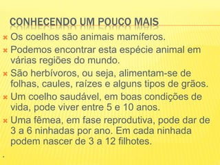 CONHECENDO UM POUCO MAIS
 Os coelhos são animais mamíferos.
 Podemos encontrar esta espécie animal em
várias regiões do mundo.
 São herbívoros, ou seja, alimentam-se de
folhas, caules, raízes e alguns tipos de grãos.
 Um coelho saudável, em boas condições de
vida, pode viver entre 5 e 10 anos.
 Uma fêmea, em fase reprodutiva, pode dar de
3 a 6 ninhadas por ano. Em cada ninhada
podem nascer de 3 a 12 filhotes.
.
 