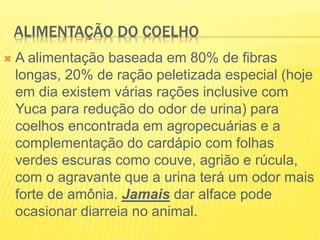 ALIMENTAÇÃO DO COELHO
 A alimentação baseada em 80% de fibras
longas, 20% de ração peletizada especial (hoje
em dia existem várias rações inclusive com
Yuca para redução do odor de urina) para
coelhos encontrada em agropecuárias e a
complementação do cardápio com folhas
verdes escuras como couve, agrião e rúcula,
com o agravante que a urina terá um odor mais
forte de amônia. Jamais dar alface pode
ocasionar diarreia no animal.
 