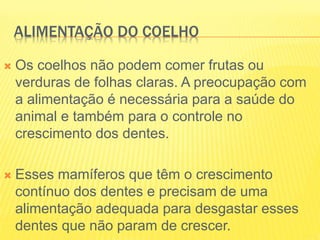 ALIMENTAÇÃO DO COELHO
 Os coelhos não podem comer frutas ou
verduras de folhas claras. A preocupação com
a alimentação é necessária para a saúde do
animal e também para o controle no
crescimento dos dentes.
 Esses mamíferos que têm o crescimento
contínuo dos dentes e precisam de uma
alimentação adequada para desgastar esses
dentes que não param de crescer.
 