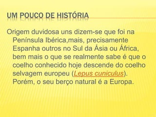 UM POUCO DE HISTÓRIA
Origem duvidosa uns dizem-se que foi na
Península Ibérica,mais, precisamente
Espanha outros no Sul da Ásia ou África,
bem mais o que se realmente sabe é que o
coelho conhecido hoje descende do coelho
selvagem europeu (Lepus cuniculus).
Porém, o seu berço natural é a Europa.
 