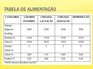 TABELA DE ALIMENTAÇÃO
 