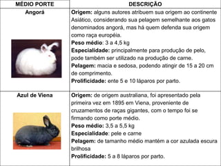MÉDIO PORTE DESCRIÇÃO
Angorá Origem: alguns autores atribuem sua origem ao continente
Asiático, considerando sua pelagem semelhante aos gatos
denominados angorá, mas há quem defenda sua origem
como raça européia.
Peso médio: 3 a 4,5 kg
Especialidade: principalmente para produção de pelo,
pode também ser utilizado na produção de carne.
Pelagem: macia e sedosa, podendo atingir de 15 a 20 cm
de comprimento.
Prolificidade: ente 5 e 10 láparos por parto.
Azul de Viena Origem: de origem australiana, foi apresentado pela
primeira vez em 1895 em Viena, proveniente de
cruzamentos de raças gigantes, com o tempo foi se
firmando como porte médio.
Peso médio: 3,5 a 5,5 kg
Especialidade: pele e carne
Pelagem: de tamanho médio mantém a cor azulada escura
brilhosa
Prolificidade: 5 a 8 láparos por parto.
 