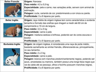 Belier Francês Origem: francesa
Peso médio: 4,5 a 5,5 kg
Especialidade: pele e carne, nas variações anãs, servem com animal de
estimação.
Pelagem: curta, variando de cor, predominando a cor cinza ou parda.
Prolificidade: 5 a 8 láparos por parto.
Belier Inglês Origem: raça média de origem inglesa tem como característica o evidente
tamanho e formato das orelhas que chegam a medir até 60 cm de
comprimento e 15 cm de largura.
Peso médio: 3,5 a 5 kg
Especialidade: carne e pele
Pelagem: mediana sedosa e brilhosa, podendo ser de cores escuras e
bicolor.
Prolificidade: 5 a 8 láparos por parto.
Borboleta Inglês Origem: de origem inglesa, é considerada uma raça de porte médio,
bastante semelhante ao similar francês, diferenciando-se, principalmente,
no seu tamanho.
Peso médio: 2 a 3 kg
Especialidade: carne e pele.
Pelagem: branca com manchas predominantemente negras, podendo ser
azuis, amareladas ou marrons, também possui uma longa faixa negra que
vai da calda até ao pescoço, olhos e focinho possuem manchas negras.
Prolificidade: 6 a 8 láparos por parto.
 