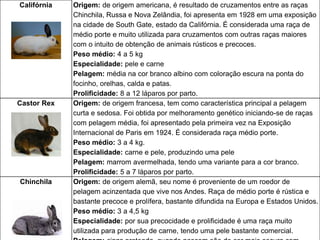 Califórnia Origem: de origem americana, é resultado de cruzamentos entre as raças
Chinchila, Russa e Nova Zelândia, foi apresenta em 1928 em uma exposição
na cidade de South Gate, estado da Califórnia. É considerada uma raça de
médio porte e muito utilizada para cruzamentos com outras raças maiores
com o intuito de obtenção de animais rústicos e precoces.
Peso médio: 4 a 5 kg
Especialidade: pele e carne
Pelagem: média na cor branco albino com coloração escura na ponta do
focinho, orelhas, calda e patas.
Prolificidade: 8 a 12 láparos por parto.
Castor Rex Origem: de origem francesa, tem como característica principal a pelagem
curta e sedosa. Foi obtida por melhoramento genético iniciando-se de raças
com pelagem média, foi apresentado pela primeira vez na Exposição
Internacional de Paris em 1924. É considerada raça médio porte.
Peso médio: 3 a 4 kg.
Especialidade: carne e pele, produzindo uma pele
Pelagem: marrom avermelhada, tendo uma variante para a cor branco.
Prolificidade: 5 a 7 láparos por parto.
Chinchila Origem: de origem alemã, seu nome é proveniente de um roedor de
pelagem acinzentada que vive nos Andes. Raça de médio porte é rústica e
bastante precoce e prolífera, bastante difundida na Europa e Estados Unidos.
Peso médio: 3 a 4,5 kg
Especialidade: por sua precocidade e prolificidade é uma raça muito
utilizada para produção de carne, tendo uma pele bastante comercial.
 