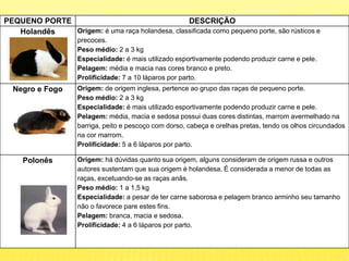 PEQUENO PORTE DESCRIÇÃO
Holandês Origem: é uma raça holandesa, classificada como pequeno porte, são rústicos e
precoces.
Peso médio: 2 a 3 kg
Especialidade: é mais utilizado esportivamente podendo produzir carne e pele.
Pelagem: média e macia nas cores branco e preto.
Prolificidade: 7 a 10 láparos por parto.
Negro e Fogo Origem: de origem inglesa, pertence ao grupo das raças de pequeno porte.
Peso médio: 2 a 3 kg
Especialidade: é mais utilizado esportivamente podendo produzir carne e pele.
Pelagem: média, macia e sedosa possui duas cores distintas, marrom avermelhado na
barriga, peito e pescoço com dorso, cabeça e orelhas pretas, tendo os olhos circundados
na cor marrom.
Prolificidade: 5 a 6 láparos por parto.
Polonês Origem: há dúvidas quanto sua origem, alguns consideram de origem russa e outros
autores sustentam que sua origem é holandesa. É considerada a menor de todas as
raças, excetuando-se as raças anãs.
Peso médio: 1 a 1,5 kg
Especialidade: a pesar de ter carne saborosa e pelagem branco arminho seu tamanho
não o favorece pare estes fins.
Pelagem: branca, macia e sedosa.
Prolificidade: 4 a 6 láparos por parto.
 