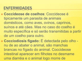 ENFERMIDADES
 Coccideose de coelhos: Coccideose é
tipicamente um parasita de animais
domésticos, como aves, ovinos, caprinos,
suínos e até cães. Mas no caso do coelho é
muito específica e só serão transmitidas a partir
de um coelho para outro.
 Cocciodiosis fígado: É detectada pelo olho -
nu de ao abater o animal, são manchas
brancas no fígado do animal. Coccideose
intestinal aparecer em filhotes no desmame
uma diarréia e o animal logo morre de
 