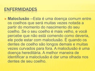 ENFERMIDADES
 Maloclusão --Esta é uma doença comum entre
os coelhos que será muitas vezes notada a
partir do momento do nascimento do seu
coelho. Se o seu coelho é mais velho, e você
percebe que não está comendo como deveria,
ele pode estar com maloclusão. É quando os
dentes de coelho são longos demais e muitas
vezes curvados para fora. A maloclusão é uma
doença hereditária. A melhor maneira de
identificar a maloclusão é dar uma olhada nos
dentes de seu coelho.
 