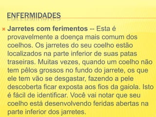 ENFERMIDADES
 Jarretes com ferimentos -- Esta é
provavelmente a doença mais comum dos
coelhos. Os jarretes do seu coelho estão
localizados na parte inferior de suas patas
traseiras. Muitas vezes, quando um coelho não
tem pêlos grossos no fundo do jarrete, os que
ele tem vão se desgastar, fazendo a pele
descoberta ficar exposta aos fios da gaiola. Isto
é fácil de identificar. Você vai notar que seu
coelho está desenvolvendo feridas abertas na
parte inferior dos jarretes.
 