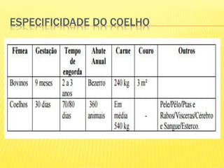 ESPECIFICIDADE DO COELHO
 