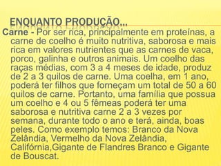 ENQUANTO PRODUÇÃO...
Carne - Por ser rica, principalmente em proteínas, a
carne de coelho é muito nutritiva, saborosa e mais
rica em valores nutrientes que as carnes de vaca,
porco, galinha e outros animais. Um coelho das
raças médias, com 3 a 4 meses de idade, produz
de 2 a 3 quilos de carne. Uma coelha, em 1 ano,
poderá ter filhos que forneçam um total de 50 a 60
quilos de carne. Portanto, uma família que possua
um coelho e 4 ou 5 fêmeas poderá ter uma
saborosa e nutritiva carne 2 a 3 vezes por
semana, durante todo o ano e terá, ainda, boas
peles. Como exemplo temos: Branco da Nova
Zelândia, Vermelho da Nova Zelândia,
Califórnia,Gigante de Flandres Branco e Gigante
de Bouscat.
 