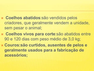  Coelhos abatidos:são vendidos pelos
criadores, que geralmente vendem a unidade,
sem pesar o animal;
 Coelhos vivos para corte:são abatidos entre
90 e 120 dias com peso médio de 3,0 kg;
 Couros:são curtidos, ausentes de pelos e
geralmente usados para a fabricação de
acessórios;
 