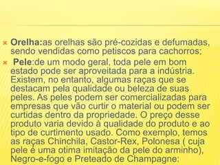  Orelha:as orelhas são pré-cozidas e defumadas,
sendo vendidas como petiscos para cachorros;
 Pele:de um modo geral, toda pele em bom
estado pode ser aproveitada para a indústria.
Existem, no entanto, algumas raças que se
destacam pela qualidade ou beleza de suas
peles. As peles podem ser comercializadas para
empresas que vão curtir o material ou podem ser
curtidas dentro da propriedade. O preço desse
produto varia devido à qualidade do produto e ao
tipo de curtimento usado. Como exemplo, temos
as raças Chinchila, Castor-Rex, Polonesa ( cuja
pele é uma otima imitação da pele do arminho),
Negro-e-fogo e Preteado de Champagne:
 