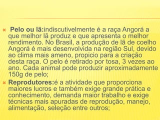  Pelo ou lã:indiscutivelmente é a raça Angorá a
que melhor lã produz e que apresenta o melhor
rendimento. No Brasil, a produção de lã de coelho
Angorá é mais desenvolvida na região Sul, devido
ao clima mais ameno, propicio para a criação
desta raça. O pelo é retirado por tosa, 3 vezes ao
ano. Cada animal pode produzir aproximadamente
150g de pelo;
 Reprodutores:é a atividade que proporciona
maiores lucros e também exige grande prática e
conhecimento, demanda maior trabalho e exige
técnicas mais apuradas de reprodução, manejo,
alimentação, seleção entre outros;
 