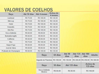 VALORES DE COELHOS
 