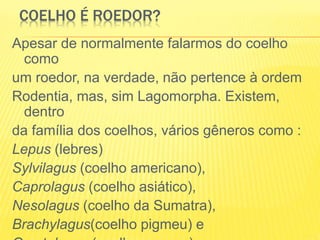 COELHO É ROEDOR?
Apesar de normalmente falarmos do coelho
como
um roedor, na verdade, não pertence à ordem
Rodentia, mas, sim Lagomorpha. Existem,
dentro
da família dos coelhos, vários gêneros como :
Lepus (lebres)
Sylvilagus (coelho americano),
Caprolagus (coelho asiático),
Nesolagus (coelho da Sumatra),
Brachylagus(coelho pigmeu) e
 