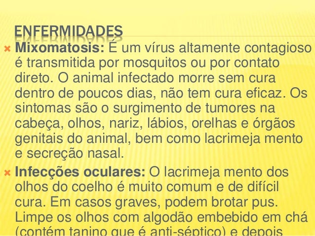 O lyambliya em um fígado quando é transferido