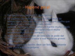 Higiene geral Dar banho aos coelhos???  Nem pensar... Os coelhos são muito sensiveis ás diferenças de temperatura. (No caso de nos aparecer um coelho que se diz branco e pareça mais um carvão peludo...Paciência, nada como um banho muito rápido ou com toalhetes.O banho rápido não é muito aconselhavel,já vão ver porquê.) Nos primeiros três meses de vida não se pode dar banho , porque pode causar a sua morte ou graves constipações. A escovagem dos dentes deve ser feita diariamente com pasta e escova própria. 