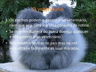 O veterinário Os coelhos podem e devem ir ao veterinário, nem que seja para ir a uma consulta de rotina. Se tiverem diarreia ou outra doença qualquer é obrigatório ir ao veterinário. Não existem muitos no país mas na net encontra-se facilmente as suas moradas. 