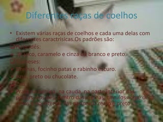 Diferentes raças de coelhos Existem várias raças de coelhos e cada uma delas com diferentes caractrisicas.Os padrões são: Holandês: Branco, caramelo e cinza ou branco e preto. Siameses: Orelhas, focinho patas e rabinho escuro. Azul, preto ou chucolate. Tan: Prata na barriga, na cauda, na parte interior das pernas, nos pés, dentro das orelhas, circulos ao pé dos olhos e no interior das narinas.O resto é preto.  