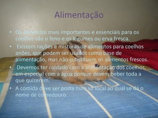 Alimentação Os alimentos mais importantes e essenciais para os coelhos são o feno e os legumes ou erva fresca. Existem rações e misturas de alimentos para coelhos anões, que podem ser usados como base de alimentação, mas não substituem os alimentos frescos. Devemos ter cuidado com a alimentação dos coelhos, em especial com a água porque devem beber toda a que quizerem. A comida deve ser posta num so local ao qual se dá o nome de comedouro. 