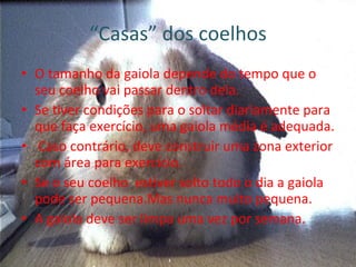 “ Casas” dos coelhos O tamanho da gaiola depende do tempo que o seu coelho vai passar dentro dela.  Se tiver condições para o soltar diariamente para que faça exercício, uma gaiola média é adequada. Caso contrário, deve construir uma zona exterior com área para exercício. Se o seu coelho  estiver solto todo o dia a gaiola pode ser pequena.Mas nunca muito pequena. A gaiola deve ser limpa uma vez por semana. 