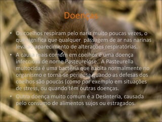 Doenças Os coelhos respiram pelo nariz muito poucas vezes, o que significa que qualquer  passagem de ar nas narinas leva ao aparecimento de alterações respiratórias.  A causa mais comum em coelhos é uma doença infecciosa de nome Pasteurelose.  A Pasteurella multocida é uma bactéria que habita normalmente no organismo e torna-se perigosa quando as defesas dos coelhos são poucas (como por exemplo em situações de stress, ou quando têm outras doenças. Outra doença muito comum é a Desinteria, causada pelo consumo de alimentos sujos ou estragados. 