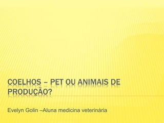 COELHOS – PET OU ANIMAIS DE
PRODUÇÃO?
Evelyn Golin –Aluna medicina veterinária
 