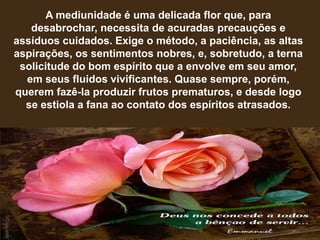 A mediunidade é uma delicada flor que, para
desabrochar, necessita de acuradas precauções e
assíduos cuidados. Exige o método, a paciência, as altas
aspirações, os sentimentos nobres, e, sobretudo, a terna
solicitude do bom espírito que a envolve em seu amor,
em seus fluidos vivificantes. Quase sempre, porém,
querem fazê-la produzir frutos prematuros, e desde logo
se estiola a fana ao contato dos espíritos atrasados.
 