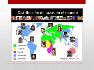 RAZA
Cada uno de los cuatro
grandes grupos étnicos en que
se suele dividir la especie
humana teniendo en cuenta
ciertas características físicas
distintivas, como el color de la
piel o el cabello, que se
transmiten por herencia de
generación en generación; las
cuatro razas existentes son:
blanca (caucásica), negra
(negroide), amarilla (mongoloide)
y cobriza.
 