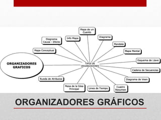 ORGANIZADORES GRÁFICOS
• Fuente: jossolis.blogspot.com
 