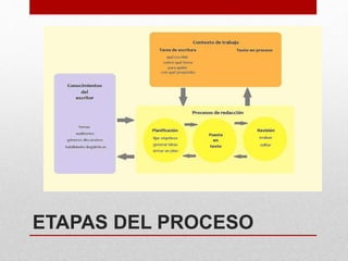 ETAPAS DEL PROCESO
 
