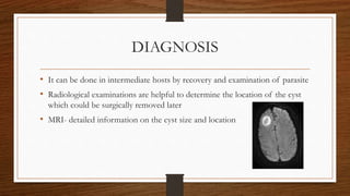 DIAGNOSIS
• It can be done in intermediate hosts by recovery and examination of parasite
• Radiological examinations are helpful to determine the location of the cyst
which could be surgically removed later
• MRI- detailed information on the cyst size and location
 