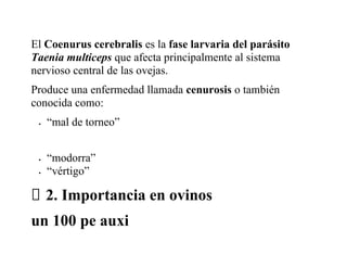 COENURUS CEREBRALIS EN OVINOS .docx