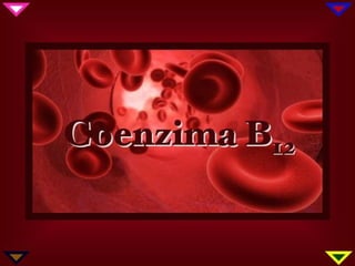 Coenzimab122014
