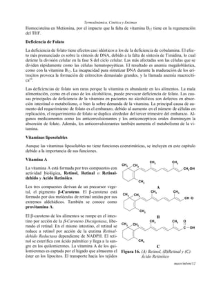 Termodinámica, Cinética y Enzimas
maov/mlvm/12
Homocisteína en Metionina, por el impacto que la falta de vitamina B12 tiene en la regeneración
del THF.
Deficiencia de Folato
La deficiencia de folato tiene efectos casi idénticos a los de la deficiencia de cobalamina. El efec-
to más pronunciado es sobre la síntesis de DNA, debido a la falta de síntesis de Timidina, lo cual
detiene la división celular en la fase S del ciclo celular. Las más afectadas son las células que se
dividen rápidamente como las células hematopoyéticas. El resultado es anemia megaloblástica,
como con la vitamina B12. La incapacidad para sintetizar DNA durante la maduración de los eri-
trocitos provoca la formación de eritrocitos demasiado grandes, y la llamada anemia macrocíti-
caxii
.
Las deficiencias de folato son raras porque la vitamina es abundante en los alimentos. La mala
alimentación, como en el caso de los alcohólicos, puede provocar deficiencia de folato. Las cau-
sas principales de deficiencia de la vitamina en pacientes no alcohólicos son defectos en absor-
ción intestinal o metabolismo, o bien la sobre demanda de la vitamina. La principal causa de au-
mento del requerimiento de folato es el embarazo, debido al aumento en el número de células en
replicación, el requerimiento de folato se duplica alrededor del tercer trimestre del embarazo. Al-
gunos medicamentos como los anticonvulsionantes y los anticonceptivos orales disminuyen la
absorción de folato. Además, los anticonvulsionantes también aumenta el metabolismo de la vi-
tamina.
Vitaminas liposolubles
Aunque las vitaminas liposolubles no tiene funciones coenzimáticas, se incluyen en este capítulo
debido a la importancia de sus funciones.
Vitamina A
La vitamina A está formada por tres compuestos con
actividad biológica, Retinol, Retinal o Retinal-
dehido y Ácido Retinóico.
Los tres compuestos derivan de un precursor vege-
tal, el pigmento -Caroteno. El -caroteno está
formado por dos moléculas de retinal unidas por sus
extremos aldehídicos. También se conoce como
provitamina A.
El -caroteno de los alimentos se rompe en el intes-
tino por acción de la -Caroteno Dioxigenasa, libe-
rando el retinal. En el mismo intestino, el retinal se
reduce a retinol por acción de la enzima Retinal-
dehido Reductasa dependiente de NADPH. El reti-
nol se esterifica con ácido palmítico y llega a la san-
gre en los quilomicrones. La vitamina A de los qui-
lomicrones es captada por el hígado que almacena el
éster en los lipocitos. El transporte hacia los tejidos
CH3
CH3
CH2
CH3
CH3
CH3
OH
A
CH3
CH3
CH
CH3
CH3
CH3
O
B
CH3
CH3
C
CH3
CH3
CH3
O
OH
C
Figura 16. (A) Retinol, (B)Retinal y (C)
Ácido Retinóico
 