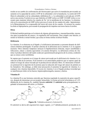 Termodinámica, Cinética y Enzimas
maov/mlvm/14
resulta en un cambio de conformación del fotorreceptor que activa la transducina provocando un
aumento en la capacidad de unión a GTP de la subunidad  de la transducina. La unión del GTP
libera la subunidad  de las subunidades inhibidoras  y . La subunidad  activada por el GTP,
activa una enzima Fosfodiesterasa que hidroliza el GMP cíclico en GMP. El GMP cíclico es ne-
cesario para mantener abiertos los canales de Na+
de la membrana de los bastones. La disminu-
ción en la concentración de GMP cíclico provoca el cierre de los canales de sodio. Aparentemen-
te la Metarodopsina II es responsable del inicio del cierre de los canales. Al cerrarse los canales
la célula sé hiperpolariza, provocando la propagación de impulsos nerviosos hacia el cerebro.
Otras
El Retinol también participa en la síntesis de algunas glicoproteínas y mucopolisacaridos, necesa-
rios para la producción de mucus y la regulación del crecimiento. Para cumplir esta función, el
retinol sé fosforila a retinol fosfato, que actúa en forma similar al dolicol fosfato.
Deficiencia
La vitamina A se almacena en el hígado y la deficiencia únicamente se presenta después de defi-
ciencia dietética prolongada. El primer síntoma de la deficiencia de la vitamina A es la ceguera
nocturna. Otros síntomas tempranos incluyen la hiperkeratinosis folicular, mayor sensibilidad a
infecciones, cáncer y anemia equivalente a la anemia ferropriva. La deficiencia crónica de vita-
mina A produce deterioro del tejido ocular por queratinización progresiva de la cornea, condición
que se conoce como xeroftalmia.
Se supone que el aumento en el riesgo de cáncer provocado por la deficiencia de vitamina A, re-
sulta de la falta de -caroteno. El -caroteno es un antioxidante poderoso que se supone capaz de
reducir el riesgo de cáncer iniciado por la producción de radicales libres. Es interesante el benefi-
cio potencial de la ingestión de -caroteno para la reducción del riesgo del cáncer de pulmón en
los fumadores. Sin embargo, se debe tener precaución al aumentar la ingestión de vitamina A y
cualquier otra vitamina liposoluble. El exceso de vitamina A en el hígado produce toxicidad que
se manifiesta por dolor en los huesos, hepatoesplenomegalia, nauseas y diarrea.
Vitamina D
La vitamina D es una hormona esteroide que funciona regulando la expresión de genes específi-
cos, después de interactuar con un receptor intracelular. La forma activa de la hormona es el 1,25-
dihidroxilo de la vitamina D3, también llamada calcitriol. El calcitriol actúa principalmente re-
gulando la homeostasis del calcio y el fósforo.
OH
CH3
CH3
CH3
CH3
CH3
1
OH
CH2
CH3
CH3 25
CH3
CH3
OH
OH
Figura 18. 7-Dehidrocolesterol y Calcitriol D3
El calcitriol se deriva del ergosterol de origen vegetal, y el 7-dehidrocolesterol, producido en la
 