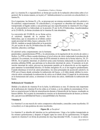 Termodinámica, Cinética y Enzimas
maov/mlvm/15
piel. La vitamina D2 o ergocalciferol, se forma por acción de la radiación ultravioleta sobre el er-
gosterol. De la misma manera, en la piel, el 7-dehidrocolesterol se convierte en colecalciferol, vi-
tamina D3.
En el organismo, las formas D2 y D3, se procesan por un sistema enzimático hasta D2-calcitriol y
D3-calcitriol, respectivamente. El colecalciferol y el ergosterol se absorben del intestino y son
transportados al hígado unidos a una proteína que une específicamente la vitamina D. En el híga-
do, el colecalciferol es hidroxilado en la posición 25 por la D3-25-hidroxilasa, transformándose
en la 25-OH-D3, la forma circulante de la vitamina D, más abundante.
La conversión del 25-OH-D3 en su forma activa,
el calcitriol, depende de la enzima D3-1-
hidroxilasa, que se encuentra en el túbulo contor-
neado proximal del riñón, hueso y placenta. El 25-
OH-D3, también se puede hidroxilar en la posición
24, por acción de una D3-24-hidroxilasa de riñón,
intestino, placenta y cartílago.
El calcitriol actúa conjuntamente con la hormona
paratiroidea o paratohormona (PTH), y la calciotonina, en la regulación de los niveles de calcio y
fósforo. La PTH se libera cuando disminuye el nivel sérico de calcio induciendo la producción de
calcitriol. En contraste, los niveles bajos de PTH estimula la síntesis de la forma inactiva, 24, 25-
OH-D3. En el epitelio intestinal, el calcitriol actúa como hormona induciendo la expresión de la
proteína calbidina D28K, que participa en la absorción intestinal de calcio. El aumento en la ab-
sorción intestinal de calcio, provoca un incremento paralelo en la absorción de un ión negativo
para mantener la neutralidad eléctrica. El fosfato inorgánico Pi, es el ión negativo predominante.
Cuando disminuye el nivel de calcio plasmático, los sitios principales de acción del calcitrol y la
PTH son el hueso donde estimulan la reabsorción del hueso, y el riñón donde inhiben la excre-
ción de calcio estimulando la reabsorción de calcio en el túbulo distal. El papel de la calciotonina
en la homeostasis del calcio, es disminuir el nivel sérico de calcio, inhibiendo la reabsorción del
hueso.
Deficiencia de Vitamina D
Debido a la adición de vitamina D en la leche, la deficiencia es rara. El síntoma más importante
de la deficiencia de vitamina D en los niños es el rickets, y en los adultos la osteomalacia. El ric-
kets se caracteriza por la falta de mineralización durante el desarrollo de los huesos, resultando en
huesos débiles. Por su parte la osteomalacia consiste en la desmineralización de huesos ya forma-
dos, que provoca debilidad del hueso y susceptibilidad a las fracturas.
Vitamina E
La vitamina E es una mezcla de varios compuestos relacionados, conocidos como tocoferoles. El
-tocoferol, es el más poderoso de estos tocoferoles.
Figura 20. -Tocoferol
La vitamina E se absorbe del intestino en los quilomicrones. Llega a los tejidos transportada en
los mismos quilomicrones y después el hígado capta los restos de los quilomicrones. El hígado
exporta la vitamina E en forma de proteínas de muy baja densidad VLDL. A causa de su natura-
1
OH
CH2
CH3
CH3 25
CH3
CH3
OH
Figura 19. Vitamina D2
 