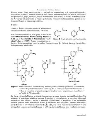 Termodinámica, Cinética y Enzimas
maov/mlvm/3
Cuando la reacción de transformación es catalizada por una enzima y la de regeneración por otra,
la coenzima es libre. Cuando la misma enzima cataliza ambas reacciones, se trata de una coenzi-
ma prostética o grupo prostético, el cual normalmente, está unido a la enzima en forma covalen-
te. A pesar de esta diferencia, la función es la misma e incluso existen coenzimas que en un sis-
tema son libres y en otras son prostéticas.
Niacina
Tanto el Ácido Nicotínico como la Nicotinamida
sirven como fuentes de la vitamina B3 o Niacina.
Las formas coenzimáticas principales de la Niacina
son el Dinucleótido de Nicotinamida y Adenina o
NAD+
, y el Dinucleótido de Nicotinamida y Ade-
nina Fosfato o NADP+
. Ambas coenzimas son co-
factores de varias enzimas, como la Malato Deshidrogenasa del Ciclo de Krebs y Lactato Des-
hidrogenasa de la Glicólisis.
N
N
N
N
O
O
C NH2
O
N
+
CH2
OHOH
O
P
O
P
O CH2
NH2
OH OH
OO
O O
N
4 C NH2
O
R
H H
O P OH
O
O
N
N
N
N
O
O
C NH2
O
N
+
CH2
OHOH
O
P
O
P
O CH2
NH2
OH
OO
O O
Figura 3. Dinucleótidos de Nicotinamida y Adenina forma oxidada (izquierda) y Nicotinamida
Adenina Fosfato forma oxidada (derecha). En el centro, se muestra la forma como se
reduce la coenzima, aceptando dos pares de electrones y un protón, en el carbono 4
del anillo de Nicotinamida.
En forma estricta, la Niacina no es una vitamina pues se puede formar a partir del Triptofano. Sin
embargo, la síntesis de Niacina a partir de Triptofano es poco eficiente, se necesitan 60 mg del
aminoácido para obtener 1 mg de la vitamina. Por otro lado, el Triptofano es un aminoácido
esencial y escaso en las proteínas de la dieta, y más en una dieta deficiente. Además, para sinteti-
zar la Niacina se necesitan las vitaminas B1, B2 y B6, que serían en sí mismas limitantes en una
dieta pobre. La dosis recomendada es de 13 a 19 mg diarios de Niacina libre en adultos normales.
N
C OH
O
N
C NH2
O
Figura 2. Ácido Nicotínico y Nicotinamida
 