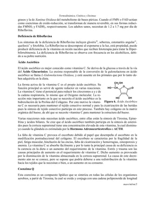 Termodinámica, Cinética y Enzimas
maov/mlvm/5
grasos y la de Xantina Oxidasa del metabolismo de bases púricas. Cuando el FMN o FAD actúan
como coenzimas de oxido-reducción, se transforman de manera reversible, en sus formas reduci-
das FMNH2 y FADH2, respectivamente. Los adultos sanos, necesitan de 1.2 a 1.7 mg por día de
Riboflavina.
Deficiencia de Riboflavina
Los síntomas de la deficiencia de Riboflavina incluyen glositisiii
, seborrea, estomatitis angulariv
,
queilosisv
y fotofobia. La Riboflavina se descompone al exponerse a la luz, está propiedad, puede
producir deficiencia de la vitamina en recién nacidos que reciben fototerapia para tratar la Hiper-
bilirrubinemia. La deficiencia de Riboflavina se observa con frecuencia en los alcohólicos, debi-
do a su pobre nutrición.
Ácido Ascórbico
El ácido ascórbico es mejor conocido como vitamina C. Se deriva de la glucosa a través de la vía
del Ácido Glucurónico. La enzima responsable de la conversión de la gulonolactona en ácido
ascórbico se llama L-Gulonolactona Oxidasa, y está ausente en los primates que por lo tanto de-
ben adquirirla en la dieta.
La forma activa de la vitamina C es el propio ácido ascórbico. Su
función principal es servir de agente reductor en varias reacciones.
La vitamina C tiene el potencial para reducir los citocromos a y c de
la cadena respiratoria, lo mismo que al Oxígeno molecular. La re-
acción más importante en la que se necesita el ácido ascórbico es la
hidroxilación de la Prolina del Colágeno. Por este motivo la vitami-
na C es necesaria para mantener el tejido conectivo normal y para la cicatrización de las heridas
pues la síntesis de tejido conectivo participa en este proceso. También hay colágeno en la matriz
orgánica del hueso, de ahí que se necesite vitamina C para mantener la estructura del hueso.
Varias reacciones más necesitan ácido ascórbico, entre ellas están la síntesis de Tirosina, Epine-
frina y ácidos biliares. Se cree que el ácido ascórbico también participa en la síntesis de esteroi-
des pues la corteza suprarrenal tiene una concentración elevada de esta vitamina, la cual disminu-
ye cuando la glándula es estimulada por la Hormona Adrenocorticotrofica o ACTH.
La falta de vitamina C provoca el escorbuto debido al papel que desempeña el ascorbato en la
modificación postraduccional del colágeno. El escorbuto se caracteriza por la fragilidad de la
piel, fatiga muscular, hinchazón de las encías, falta de cicatrización y hemorragias, osteoporosis y
anemia. La vitamina C se absorbe fácilmente y por lo tanto la principal causa de su deficiencia es
la carencia en la dieta o un aumento del requerimiento de la vitamina. Estrés y trauma son las
causas principales de aumento en el requerimiento de vitamina C. Dicho aumento es provocado
por la disminución de la vitamina almacenada en la corteza suprarrenal. La causa de este decre-
mento aún no se conoce, pero se supone que podría deberse a una redistribución de la vitamina
hacia los tejidos que la necesitan o bien, a un aumento en su consumo.
Coenzima Q
Esta coenzima es un compuesto lipídico que se sintetiza en todas las células de los organismos
aerobios, a partir de Tirosina, la cual se oxida y conjuga con una cadena poliprenoide de longitud
O
CH
CH2
O
OH OH
OH
OH
Figura 6. Ácido Ascórbico
 