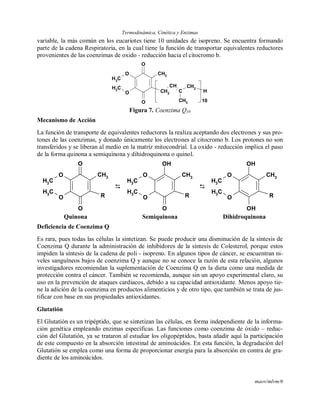 Termodinámica, Cinética y Enzimas
maov/mlvm/6
variable, la más común en los eucariotes tiene 10 unidades de isopreno. Se encuentra formando
parte de la cadena Respiratoria, en la cual tiene la función de transportar equivalentes reductores
provenientes de las coenzimas de oxido - reducción hacia el citocromo b.
CH3
CH3
O
O CH3
CH2
CH
C
CH2
CH3
O
O
H
10
Figura 7. Coenzima Q10
Mecanismo de Acción
La función de transporte de equivalentes reductores la realiza aceptando dos electrones y sus pro-
tones de las coenzimas, y donado únicamente los electrones al citocromo b. Los protones no son
transferidos y se liberan al medio en la matriz mitocondrial. La oxido - reducción implica el paso
de la forma quinona a semiquinona y dihidroquinona o quinol.
CH3
CH3
O
O CH3
R
O
O

CH3
CH3
O
O CH3
R
OH
O

CH3
CH3
O
O CH3
R
OH
OH
Quinona Semiquinona Dihidroquinona
Deficiencia de Coenzima Q
Es rara, pues todas las células la sintetizan. Se puede producir una disminución de la síntesis de
Coenzima Q durante la administración de inhibidores de la síntesis de Colesterol, porque estos
impiden la síntesis de la cadena de poli - isopreno. En algunos tipos de cáncer, se encuentran ni-
veles sanguíneos bajos de coenzima Q y aunque no se conoce la razón de esta relación, algunos
investigadores recomiendan la suplementación de Coenzima Q en la dieta como una medida de
protección contra el cáncer. También se recomienda, aunque sin un apoyo experimental claro, su
uso en la prevención de ataques cardiacos, debido a su capacidad antioxidante. Menos apoyo tie-
ne la adición de la coenzima en productos alimenticios y de otro tipo, que también se trata de jus-
tificar con base en sus propiedades antioxidantes.
Glutatión
El Glutatión es un tripéptido, que se sintetizan las células, en forma independiente de la informa-
ción genética empleando enzimas específicas. Las funciones como coenzima de óxido – reduc-
ción del Glutatión, ya se trataron al estudiar los oligopéptidos, basta añadir aquí la participación
de este compuesto en la absorción intestinal de aminoácidos. En esta función, la degradación del
Glutatión se emplea como una forma de proporcionar energía para la absorción en contra de gra-
diente de los aminoácidos.
 