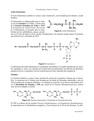 Termodinámica, Cinética y Enzimas
maov/mlvm/7
Ácido Pantoténico
El ácido Pantoténico también se conoce como vitamina B5, está formado por -Alanina y ácido
Pantóico.
El Pantotenato es indispensable para la sínte-
sis de la Coenzima A o CoA, y forma parte
de la Proteína Portadora de Acilos o ACP,
de la Sintetasa de Ácidos Grasos. Por lo tan-
to, el Pantotenato es necesario para el meta-
bolismo de los carbohidratos, grasas y proteí-
nas en el Ciclo de Krebs o de los Ácidos Tricarboxílicos. Se conocen cuando menos 70 enzimas
que utilizan CoA o derivados de ACP.
O
O
CH2CH2SH NH C
N
N
N
N
O
OCH2CCHCNHCH2CH2
CH3
CH3
O
OH
O
P O P O CH2
NH2
OO
P
O
O O
O
O
Figura 9. Coenzima A
La deficiencia de ácido Pantoténico es sumamente rara debido a su amplia distribución en cerea-
les, legumbres y carne. Los síntomas de la deficiencia de pantotenato son difíciles de identificar
porque son leves y semejantes a los de la deficiencia de otras vitaminas del complejo B.
Tiamina
La Tiamina también se conoce como vitamina B1 porque fue la primera vitamina que se descu-
brió. La estructura de la Tiamina está formada por un anillo de Pirimidina substituido y otro de
Tiazol, unidos por un puente metilénico. La vitamina se convierte en su forma coenzimática acti-
va, el Pirofosfato de Tiamina o TPP, por acción de la Tiamina Difosfatotransferasa, enzima
muy activa en Hígado y Cerebro.
N
+
S
N
N
CH2
CH2
CH2
OH
CH3
NH2CH3
N
+
S
N
N
CH2
CH2
CH2
O
CH3
NH2CH3 P O P O
O O
OO
Figura 10. Tiamina (izquierda) y Pirofosfato de Tiamina (derecha)
El TPP es cofactor de las enzimas Piruvato Deshidrogenasa, -Cetoglutarato Deshidrogenasa,
de importancia en el metabolismo energético y Transcetolasa de la Vía de las Pentosas. La defi-
OHCH2
CC
H
CN
H
CH2
CH2
C
CH3
CH3
O
OHOH
O
Figura 8. Ácido Pantoténico
 