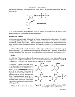 Termodinámica, Cinética y Enzimas
maov/mlvm/8
ciencia de Tiamina en la dieta, disminuye en forma drástica la capacidad de las células para pro-
ducir energía.
N N
N
+
S
CH2
CH2 CH2 O
CH3
P O P O
O O
OO
NH2
CH3
R
R = -Cetoácido
En los adultos normales, el requerimiento diario de Tiamina es de 1.0 a 1.5 mg. Si la dieta es rica
en carbohidratos, el requerimiento de Tiamina aumenta.
Deficiencia de Tiamina
Los síntomas tempranos de la deficiencia de Tiamina son estreñimiento, disminución del apetito,
neuropatía periféricavi
y fatiga. La deficiencia crónica de Tiamina en la dieta provoca síntomas
neurológicos severos como ataxiavii
, confusión y pérdida de coordinación. Otros síntomas clíni-
cos de la deficiencia prolongada de Tiamina se relacionan con defectos cardiovasculares y mus-
culares.
La enfermedad conocida como Beriberiviii
, es producida por una dieta rica en carbohidratos y de-
ficiente en Tiamina. Otra enfermedad relacionada con la deficiencia de Tiamina es el síndrome de
Wernicke-Korsakoffix
, que se presenta en los alcohólicos como resultado de su pobre nutrición.
Piridoxina
La Piridoxina, Piridoxamina y Piridoxal, se conocen colectivamente como vitamina B6. Los tres
compuestos se pueden convertir en la forma biológicamente activa de la vitamina el Fosfato de
Piridoxal o PLP. Esta reacción es catalizada por la Cinasa de Piridoxal.
El fosfato de Piridoxal actúa como cofac-
tor en las reacciones de transaminación
del metabolismo de los aminoácidos, y
también en la Glucogenolisis como co-
factor de la Glucógeno Fosforilasa. El
requerimiento nutricional de vitamina B6
es proporcional al nivel de proteínas en la
dieta, y se encuentra en el rango de 1.4 a
2 mg por día en el adulto normal. Durante
el embarazo y la lactancia el requerimien-
to de Piridoxal aumenta aproximadamen-
te 0.6 mg por día.
La deficiencia de vitamina B6 es rara y
N
H
+
OH
CH2
CH2 OH
CH3
OH
N
H
+
OH
CH2
CH2 OH
CH3
NH2
A B
N
H
+
OH
CH
CH2 OH
CH3
O
N
H
+
OH
CH
CH2
O
CH3
O
P O
O
O
C D
Figura 11. (A) Piridoxina, (B) Piridoxamina, (C) Pi-
ridoxal y (D) Fosfato de Piridoxal
 