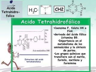 Estructura del acido
tetrahidrofolico
•Coenzima F, folato H4 o
FH4
•derivada del ácido fólico
(vitamina B9.
•Importancia en el
metabolismo de los
aminoácidos y la síntesis
de purina.
•Los grupos químicos que
transfiere son el metilo,
formilo, metileno y
formimino
Acido
Tetrahidro-
folico
CH2
 