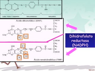  Dihidrofolato
reductasa
(NADPH)
 Dihidrofolato
reductasa
(NADPH)
 