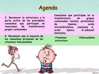 2. Reconocer la estructura y la
parte activa de las principales
coenzimas que participan en
reacciones de transferencia
grupos carbonados
5. Reconocer que la mayoría de
las coenzimas provienen de las
vitaminas hidrosolubles
Coenzimas que participan en la
transferencia de grupos
carbonados: biotina, pirofosfato
de tiamina, acido
tetrahidrofolico, coenzima A,
acido lipoico, S-adenosil
metionina.
Vitaminas Hidrosolubles
estructura
 