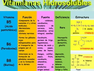 Vitamina Función Fuente Deficiencia Estructura
B5
(Acido
pantoténico)
•Componente de la
coenzima A y otras
moléculas.
•Metabolismo
celular.
•Sistema nervioso
e inmunitario.
la calabaza,
cacahuates,
levadura de
cerveza, tofu,
almendras, arroz
integral, semillas
Rara
B6
(Perodoxina)
•forma los glóbulos
rojos
indispensables para
el transporte de
oxígeno por el
cuerpo
Cacahuate,
germen de trigo,
leguminosas,
harina de maíz y
avena, papas,
yema de huevo,
etc.
Neuropatía
periférica,
dermatitis,
glositis
B8
(Biotina)
•interviene en la
formación de
glándulas sexuales
y en la formación
de la dermis
Hongos, coliflor,
papas, fruta,
cacahuate,
almendras,
nueces y
productos de
origen animal.
depresión,
dermatitis,
anemia,
naúseas,
dolores
musculares,
fatiga y falta Tiazol
Úrico
A. Valerico
A.
pantoico
B- alanina
 