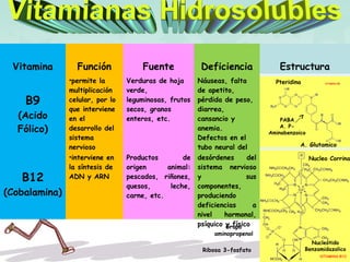 Vitamina Función Fuente Deficiencia Estructura
B9
(Acido
Fólico)
•permite la
multiplicación
celular, por lo
que interviene
en el
desarrollo del
sistema
nervioso
Verduras de hoja
verde,
leguminosas, frutos
secos, granos
enteros, etc.
Náuseas, falta
de apetito,
pérdida de peso,
diarrea,
cansancio y
anemia.
Defectos en el
tubo neural del
feto.
B12
(Cobalamina)
•interviene en
la síntesis de
ADN y ARN
Productos de
origen animal:
pescados, riñones,
quesos, leche,
carne, etc.
desórdenes del
sistema nervioso
y sus
componentes,
produciendo
deficiencias a
nivel hormonal,
psíquico y físico
Pteridina
PABA
A. P-
Aminobenzoico
A. Glutamico
Nucleo Corrina
Grupo
aminopropenol
Ribosa 3-fosfato
Nucleótido
Benzamidazolico
 